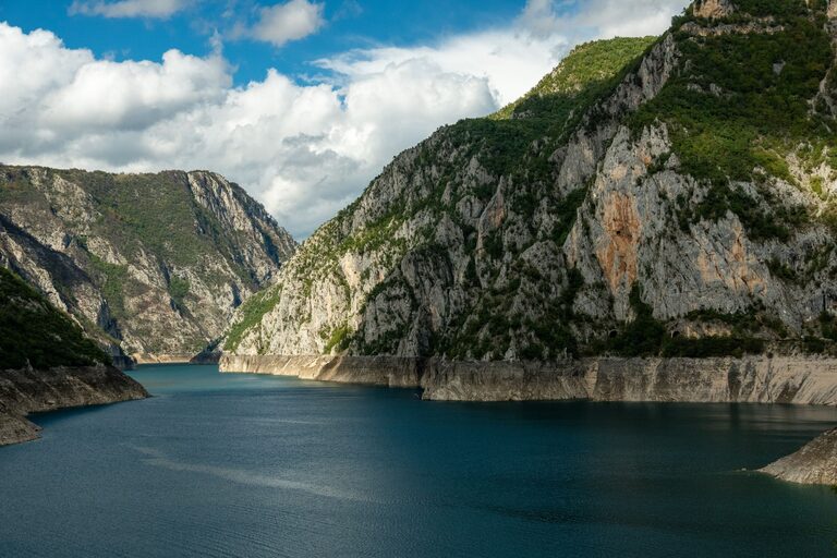 resized_38_api
